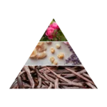 AZHA AMIRA EDP W 100ML woda perfumowana damska