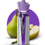 AL WATANIAH ARYA NICHE PERFUME 100ML woda perfumowana unisex