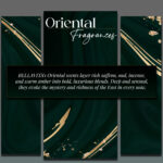 BELLAVITA LUXURY-UAE HAYAL AL-BAHAR FRENCH ORIENTAL EDP U 100ML