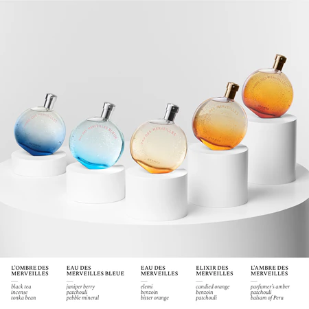 HERMES L’OMBRE DES MERVEILLES EDP U 100 ML