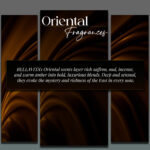 BELLAVITA LUXURY-UAE AZIZI FRENCH ORIENTAL EDP U 100ML