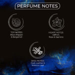BELLAVITA LUXURY-UAE AMIR WAHID FRENCH ORIENTAL EDP M 100ML