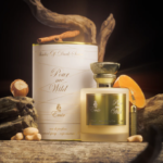 PARIS CORNER POUR ME WILD EMIR EDP 100ML