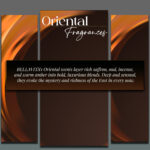 BELLAVITA LUXURY-UAE ZAWWARAT ORIENTAL EDP U 100ML
