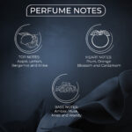 BELLAVITA LUXURY-UAE RARE ICE FRENCH EDP M 100ML