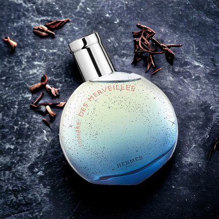HERMES L’OMBRE DES MERVEILLES EDP U 100 ML