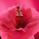 AFNAN KIAANA VIBES EDP 100ML