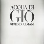 GIORGIO ARMANI ACQUA DI GIO EDT M 100ML